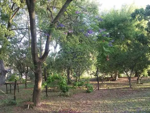 Se vende quinta en Desvio Arijón