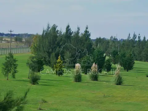 LOTE EN VENTA CAMPOS DE ROCA II. BRANDSEN