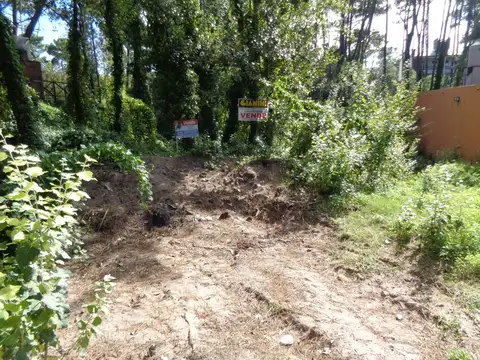 35E/ Mar del Plata y P.delEste