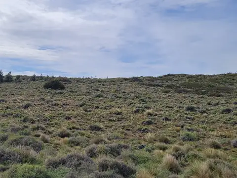 VENTA DE TRES LOTES desde 1890 m2 EN LAGO HUECHULAFQUEN – JUNÍN DE LOS ANDES