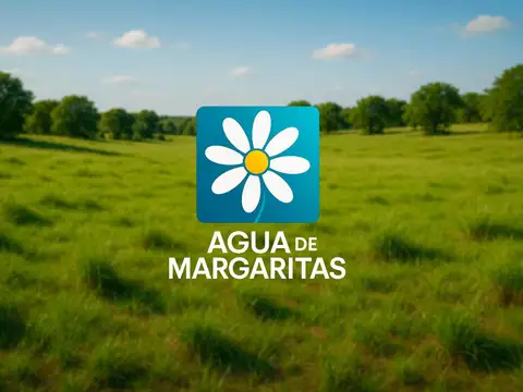 Preventa loteo Agua de Margaritas Quebracho Traslasierra