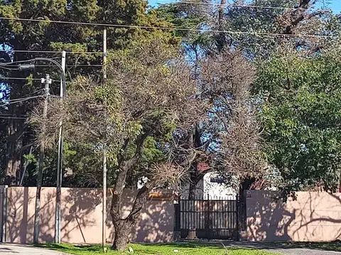 Quinta en Venta en Sourigues, USD 215.000