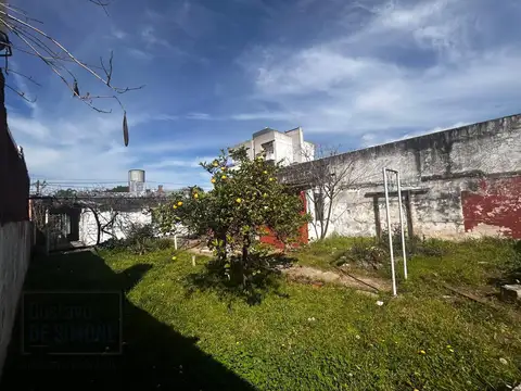 Presidente Arturo Illia al 1500