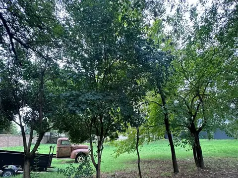 Terreno en Venta de 1100,0 m2