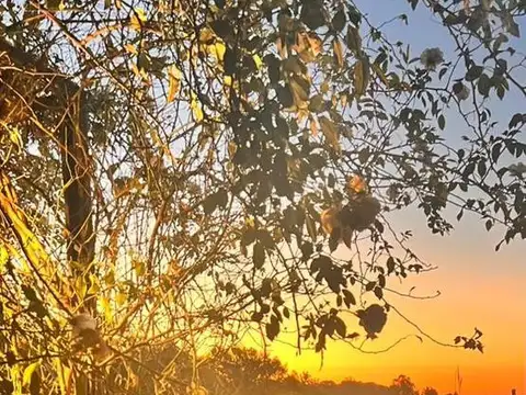 Casa en Alquiler Temporal al Oeste