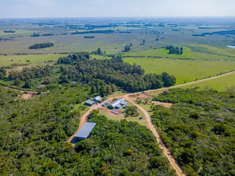 VENTA DE CHACRAS DE 15 HECTAREAS EN LAVALLEJA