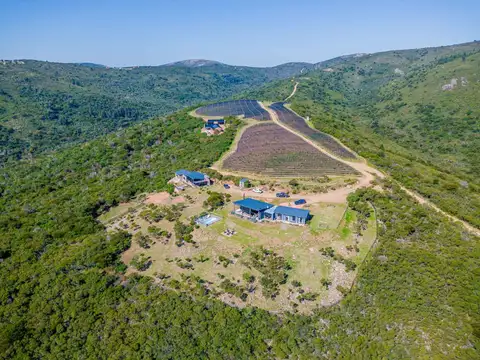 VENTA DE CHACRAS DE 15 HECTAREAS EN LAVALLEJA