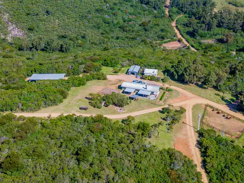VENTA DE CHACRAS DE 15 HECTAREAS EN LAVALLEJA