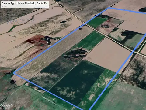 Campo 40 Has. Agricola en Theobald, Santa Fe