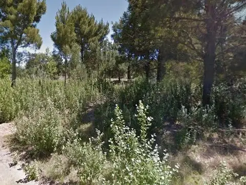 Calle 31 E/ Miramar y Necochea 100