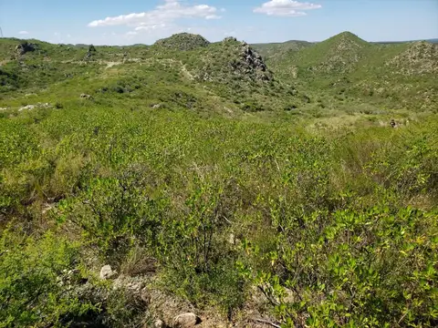 Ruta Provincial 20 100