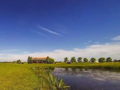 Terreno en Venta de 2000,0 m2
