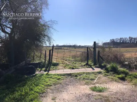 8,9 ha. Lima / Logística