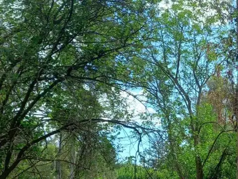 Campo Olivera Apto Loteo Todo Cerrado