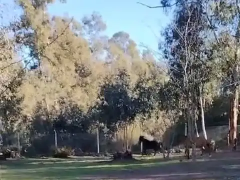 Campo en Venta Mixto