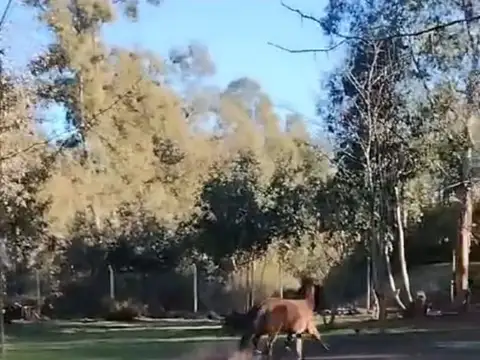 Campo en Venta Mixto