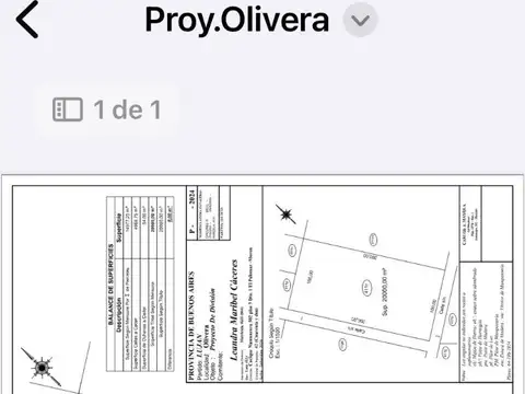 Campo Olivera Apto Loteo Todo Cerrado