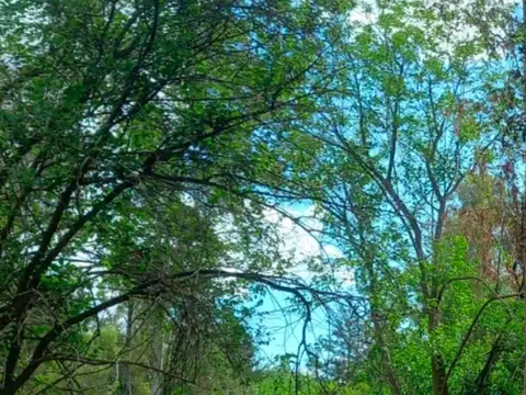 Campo Olivera Apto Loteo Todo Cerrado