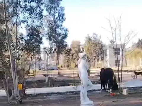 Campo en Venta Mixto