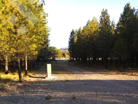 VENTA de DESARROLLO Barrio Privado- Paraje Entre Ríos - Lago Puelo - Chubut