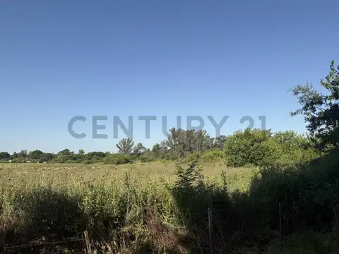 LOTE EN ARTURO SEGUI | CALLE 137 E/ 419 Y 420