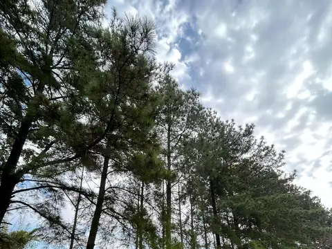 Terreno en Venta en Garupa, USD 70.000