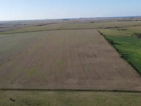 Campo agricola de 21.5 has en Corrales (Antelo)