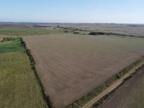 Campo agricola de 21.5 has en Corrales (Antelo)
