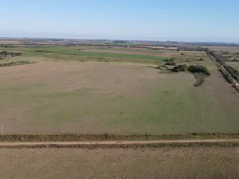 Campo agricola de 21.5 has en Corrales (Antelo)