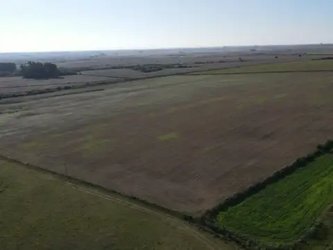 Camino Rural 21 , Piso No definido