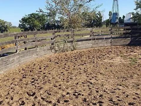 San Pedro