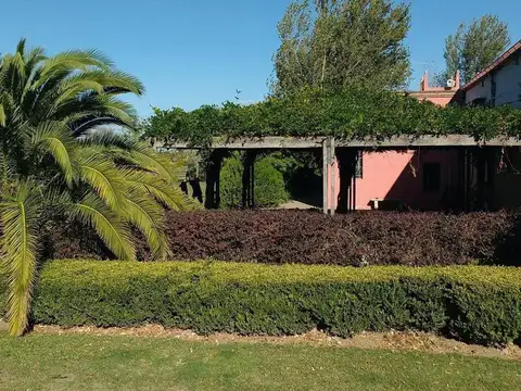 San Pedro