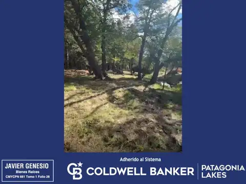 Terreno en Venta de 9058,0 m2