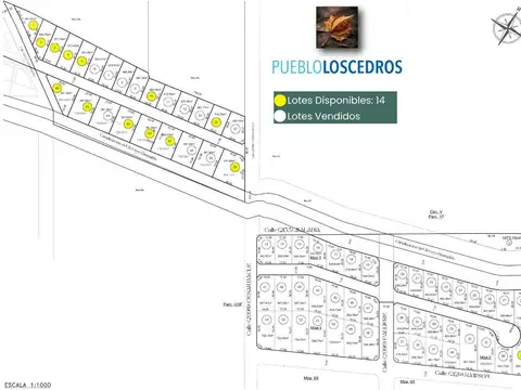 César Bacle 450  Barrio Los Cedros