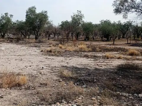 Terreno en Venta de 500,0 m2