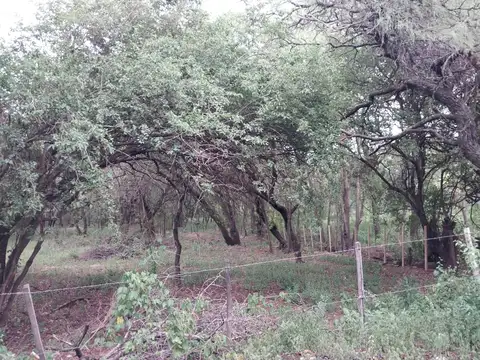 Terreno en Venta en Las Chacras, USD 25.000