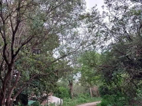 Terreno en venta en Las Chacras