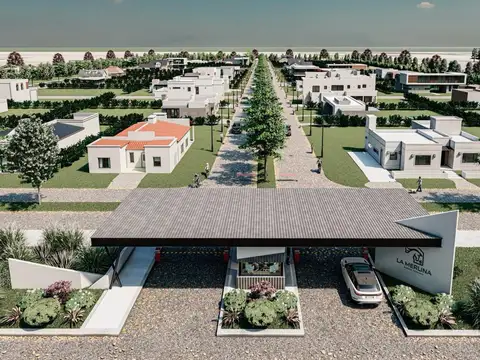 Av Valeria Del Crotto