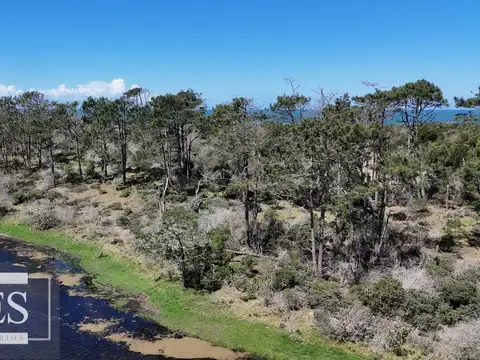 Terreno en Venta en José Ignacio, USD 295.000