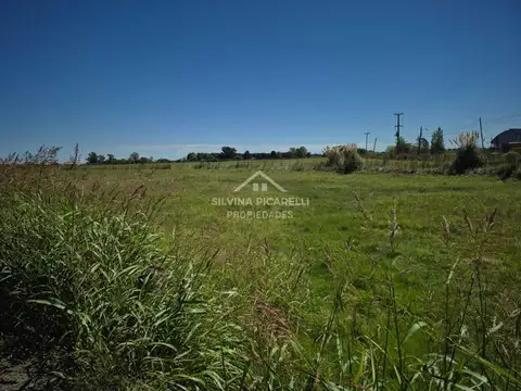 Terreno Campo  en Venta en Chenaut, Exaltación de la Cruz, G.B.A. Zona Norte