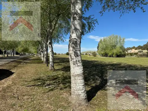 Lote 1183m2 AL GOLF escriturado en Club de Campo Haras del Sur II La Plata Brandsen