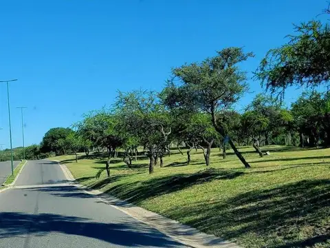 Lt 74, Macrolote 5,tierra Alta 0