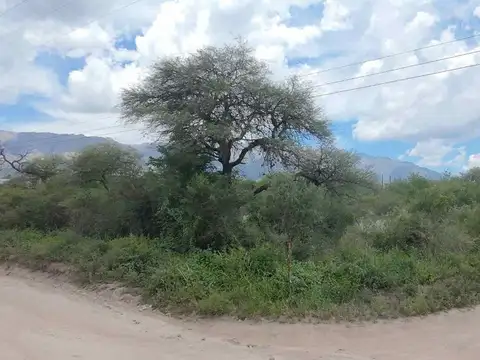 Terreno en Venta de 987,0 m2