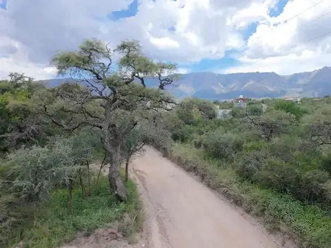 VENTA TERRENO LAS RABONAS 987 M2 SOBRE AVENIDA