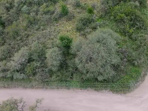 Avenida Tajamar 1000