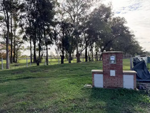 Av del Parque