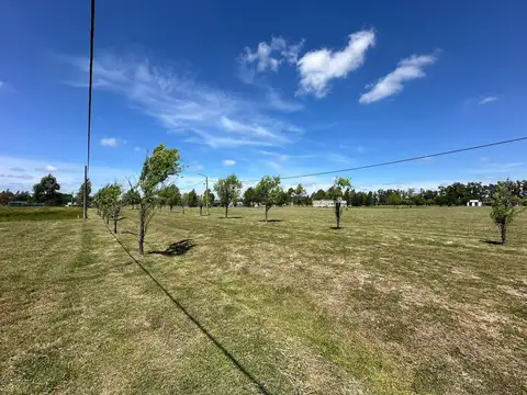 Terrenos y Lotes en Venta en Coronel Brandsen [Cod: 666]