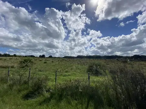 Venta Chacra  10 hectáreas Ruta 104 Manantiales