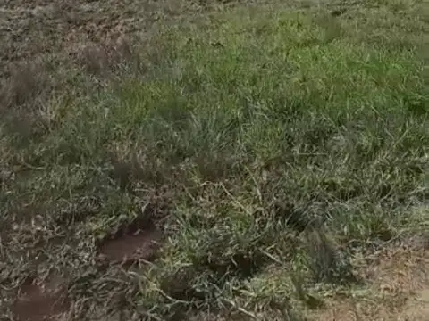 Campo en Venta de 32  ha