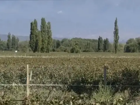 Finca Agrelo 5,3 Hectáreas